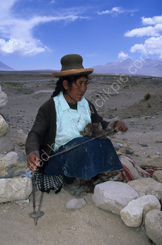 Peruvian Weaver